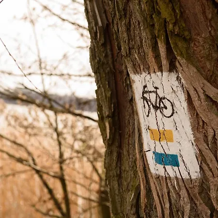 아파트호텔 Szelagowka, Sun & Snow 소르크비티