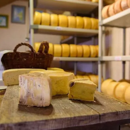 아파트호텔 Szelagowka, Sun & Snow 소르크비티