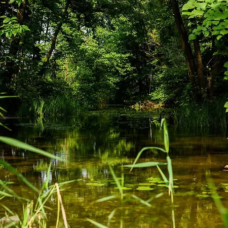 Szelagowka, Sun & Snow סורקביטי