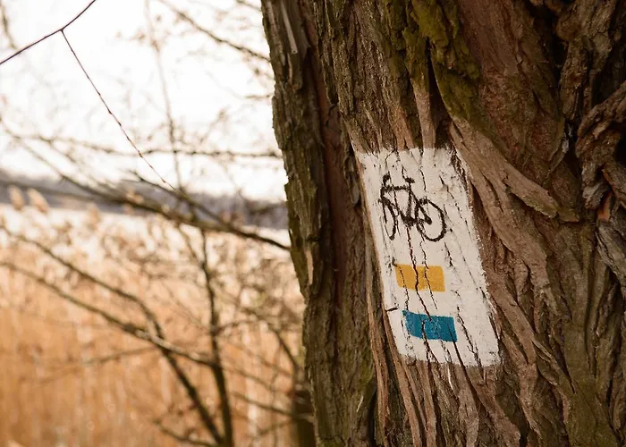 Апарт-отель Szelagowka, Sun & Snow Сорквиты