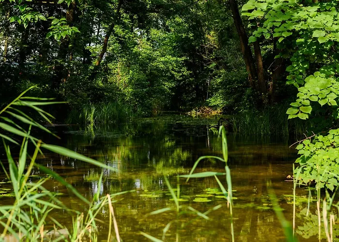 Szelagowka, Sun & Snow Сорквиты